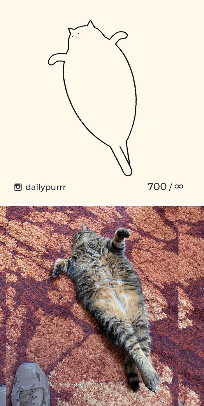 Stupid-Cat-Drawings-New-Dailypurrr