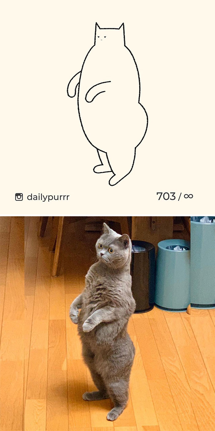 Stupid-Cat-Drawings-New-Dailypurrr