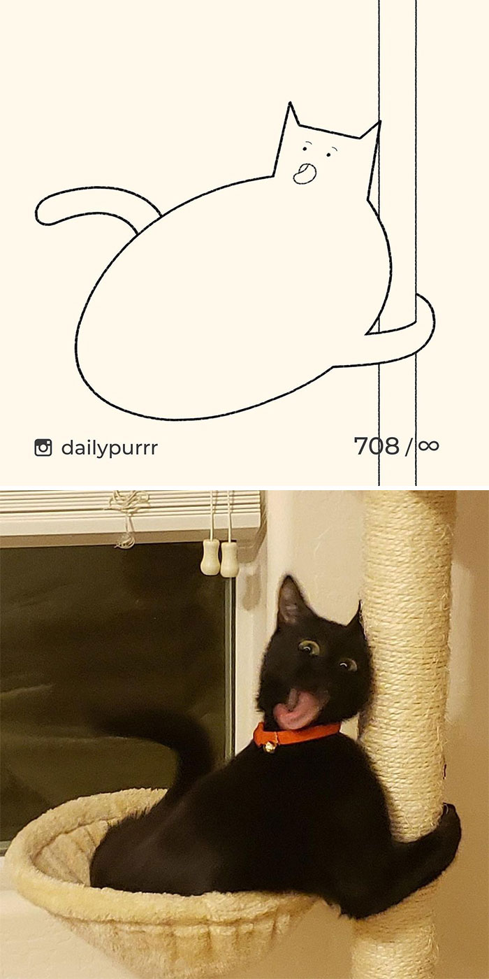 Stupid-Cat-Drawings-New-Dailypurrr
