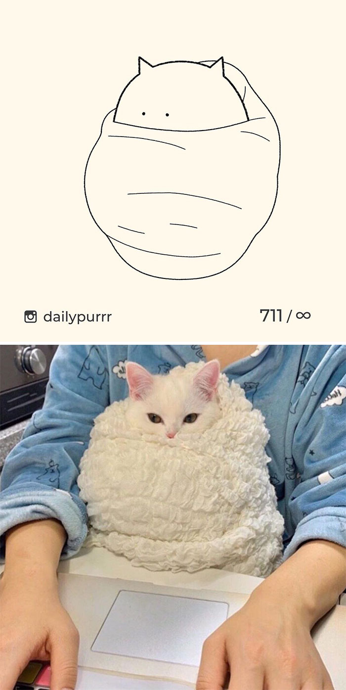 Stupid-Cat-Drawings-New-Dailypurrr