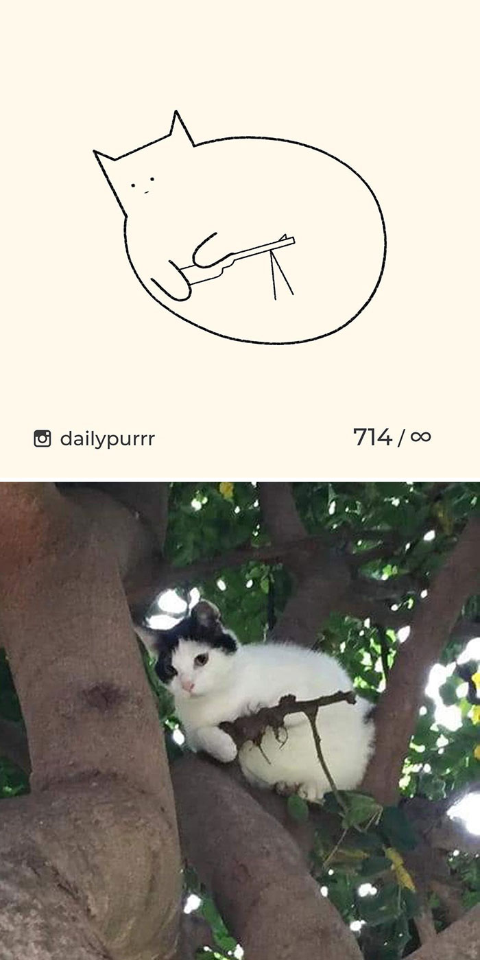 Stupid-Cat-Drawings-New-Dailypurrr