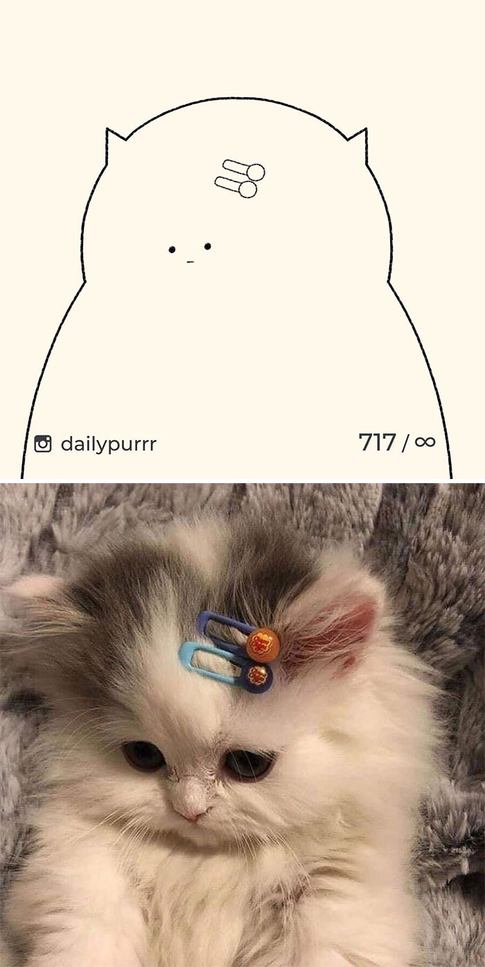 Stupid-Cat-Drawings-New-Dailypurrr