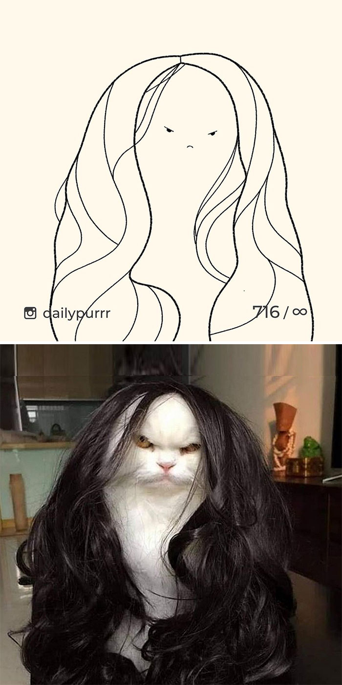 Stupid-Cat-Drawings-New-Dailypurrr
