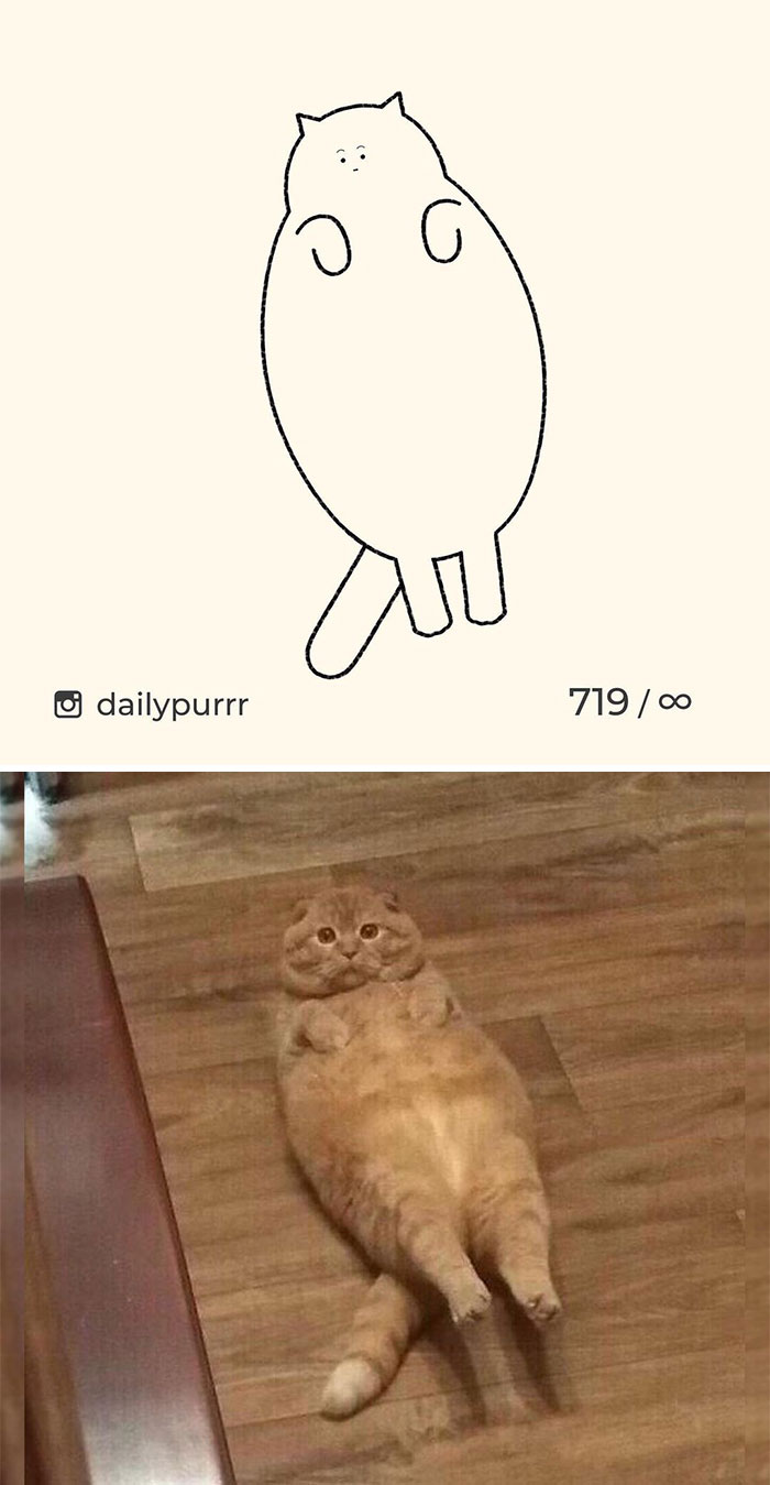 Stupid-Cat-Drawings-New-Dailypurrr