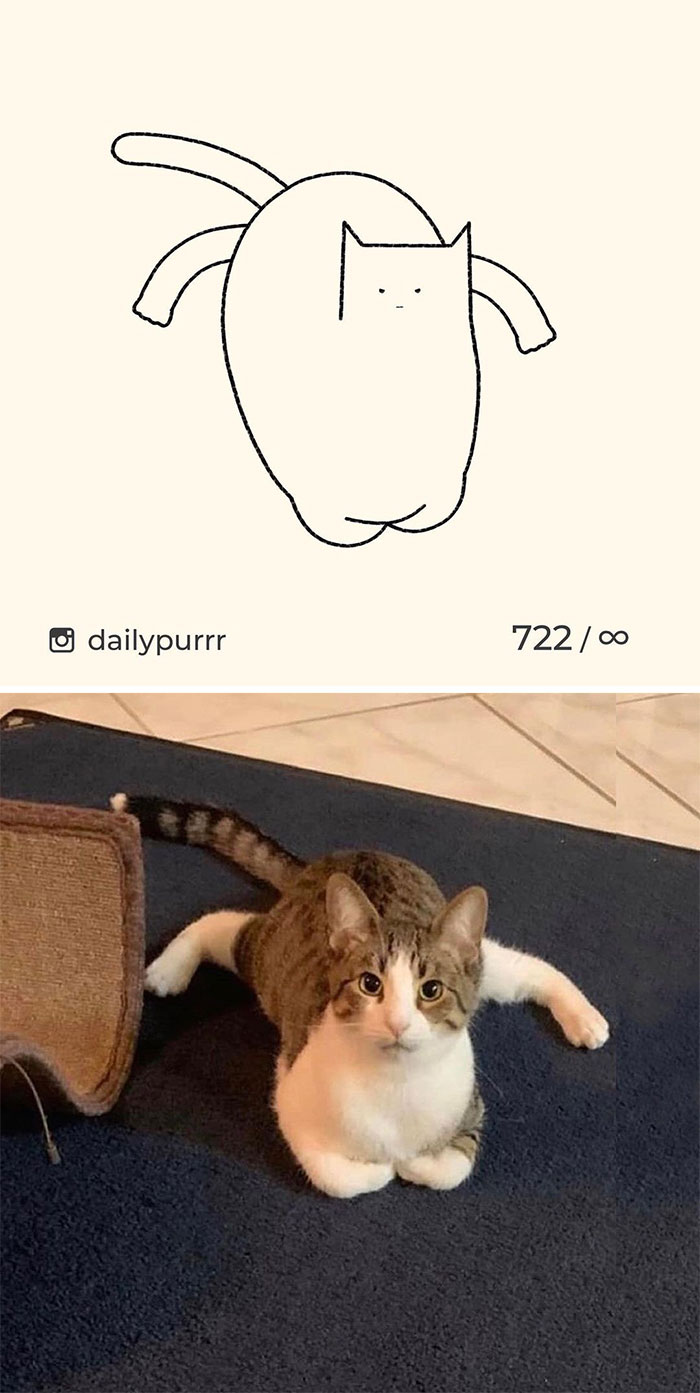 Stupid-Cat-Drawings-New-Dailypurrr