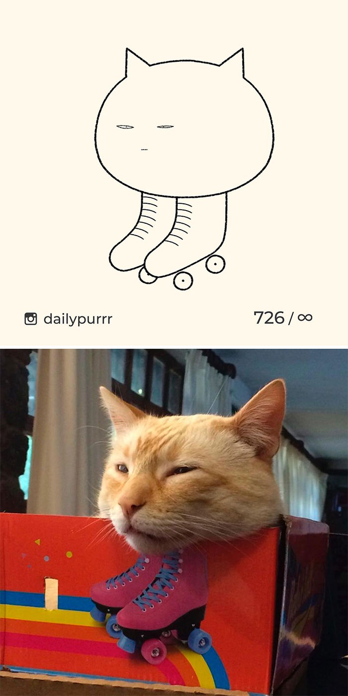 Stupid-Cat-Drawings-New-Dailypurrr