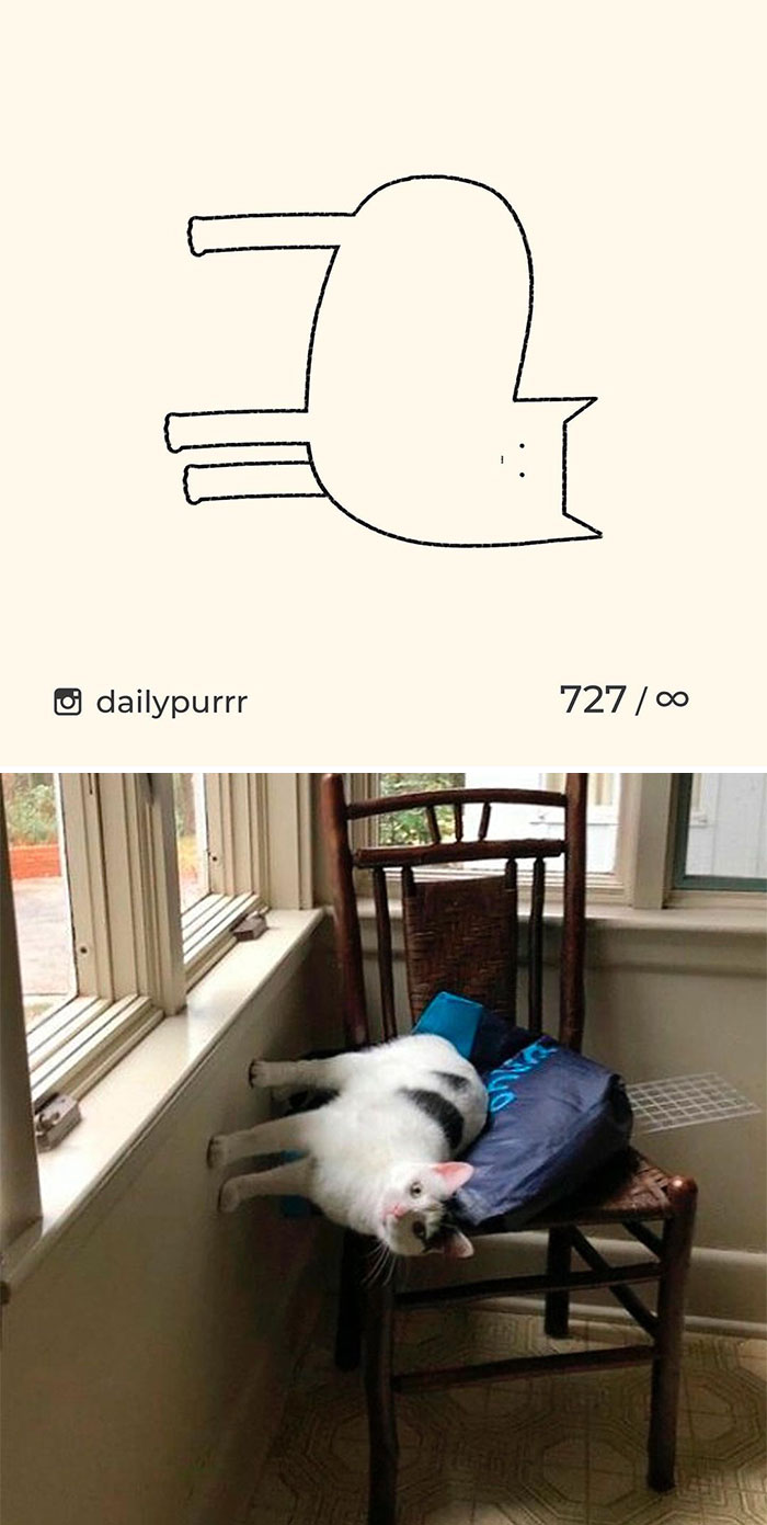 Stupid-Cat-Drawings-New-Dailypurrr