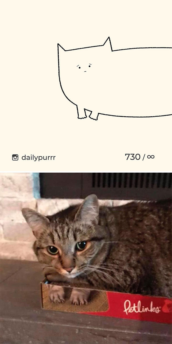 Stupid-Cat-Drawings-New-Dailypurrr