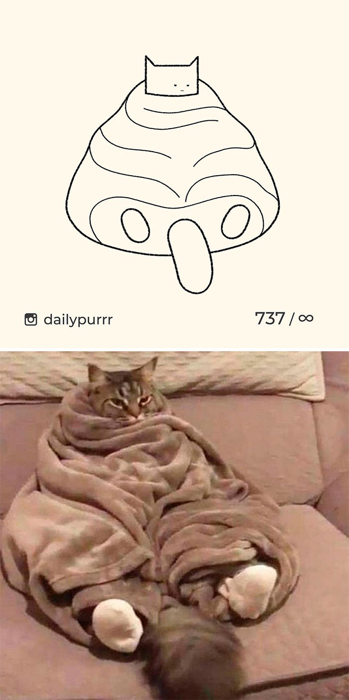Stupid-Cat-Drawings-New-Dailypurrr