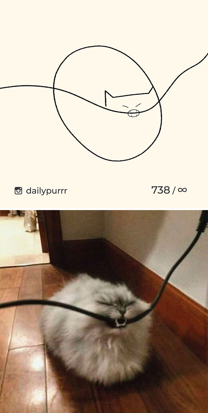 Stupid-Cat-Drawings-New-Dailypurrr