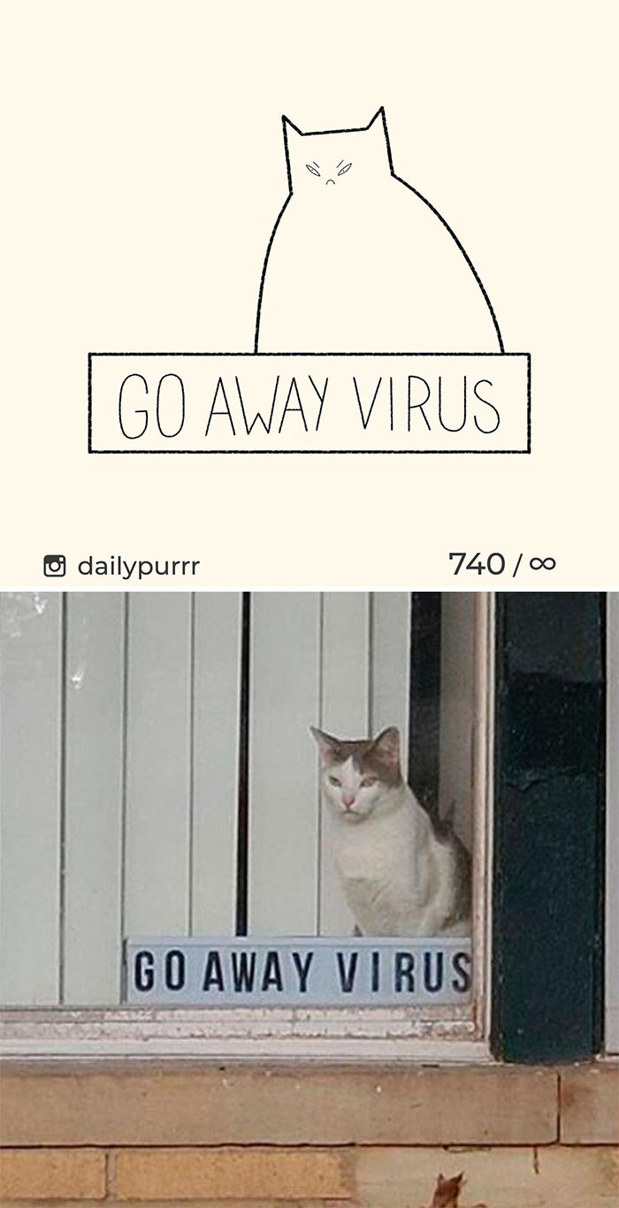 Stupid-Cat-Drawings-New-Dailypurrr