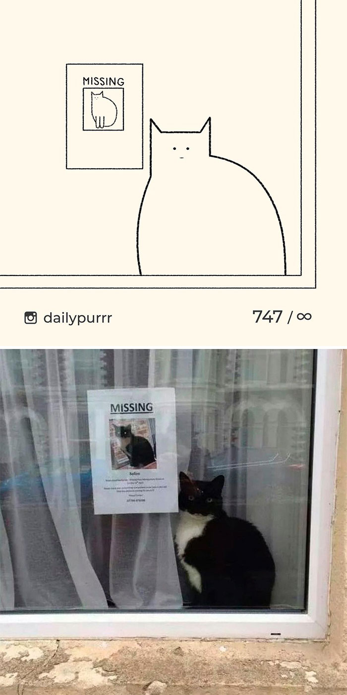 Stupid-Cat-Drawings-New-Dailypurrr