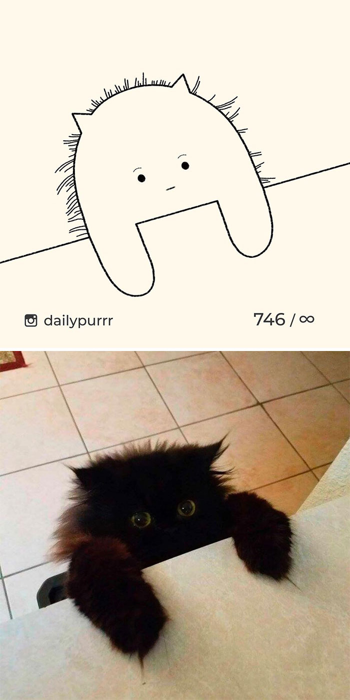 Stupid-Cat-Drawings-New-Dailypurrr