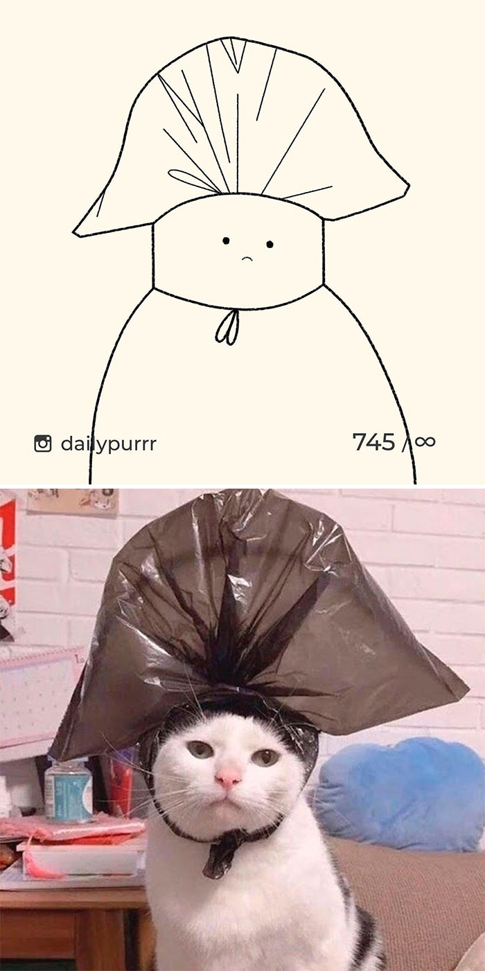 Stupid-Cat-Drawings-New-Dailypurrr