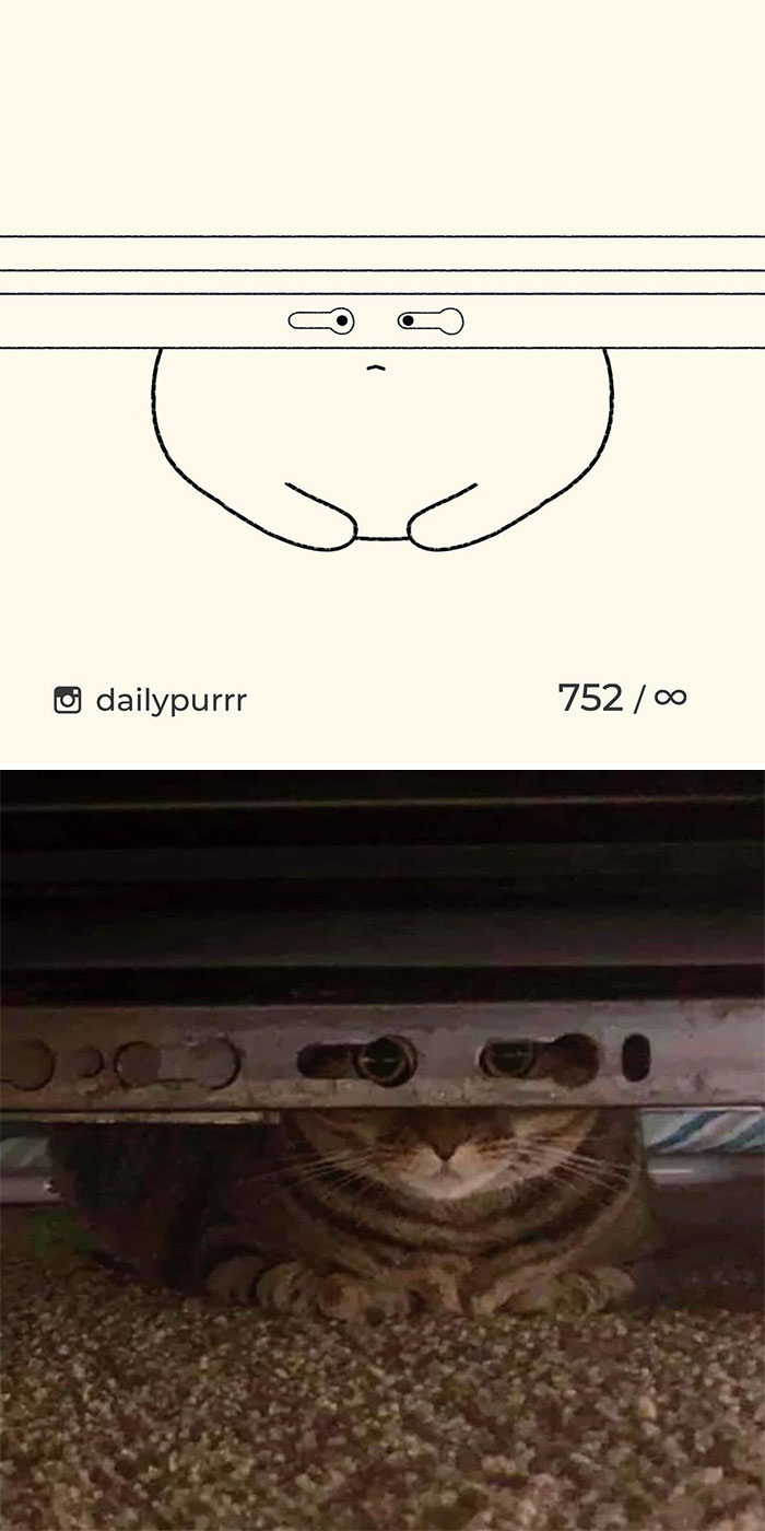 Stupid-Cat-Drawings-New-Dailypurrr