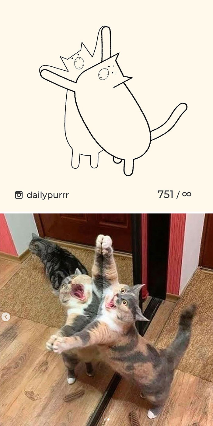 Stupid-Cat-Drawings-New-Dailypurrr