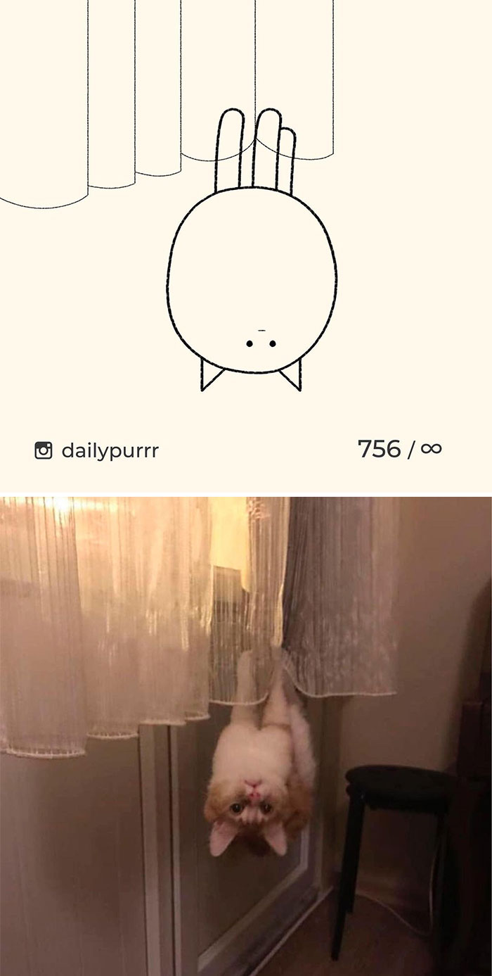 Stupid-Cat-Drawings-New-Dailypurrr
