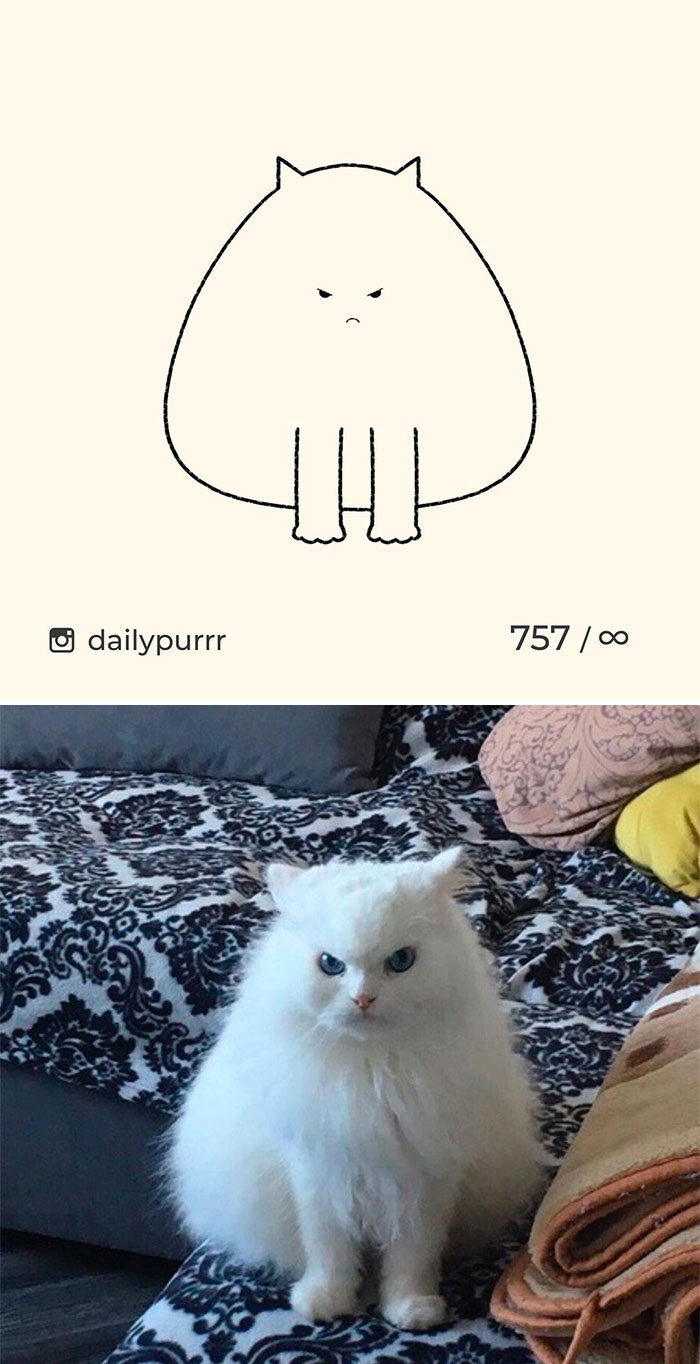 Stupid-Cat-Drawings-New-Dailypurrr