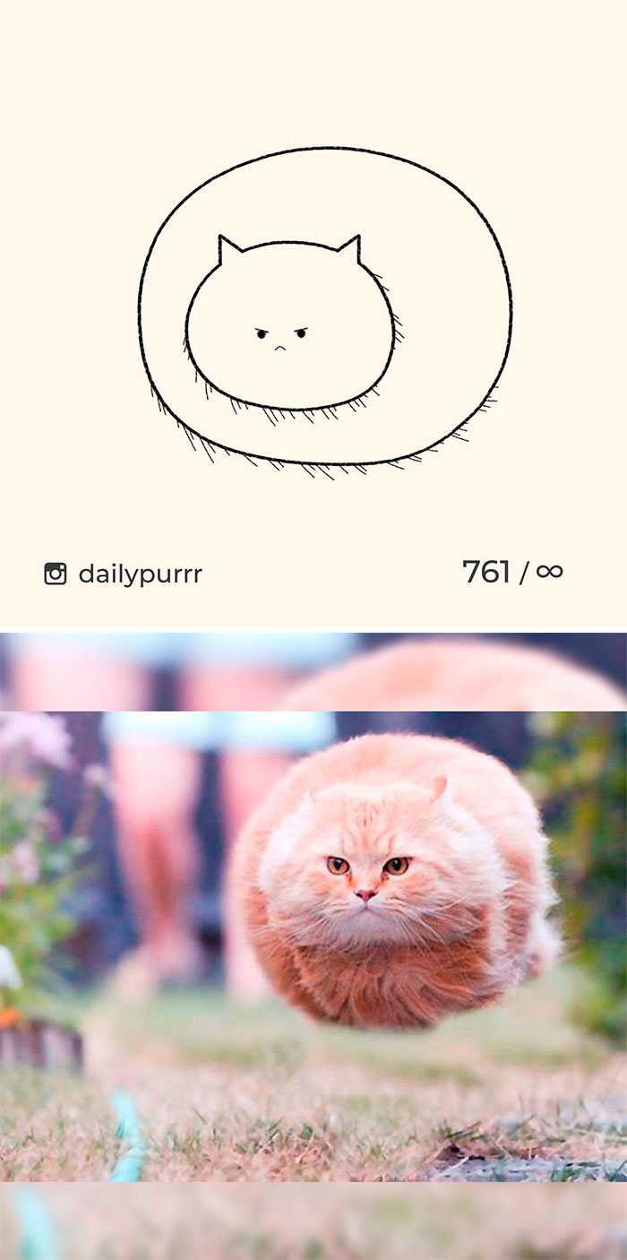 Stupid-Cat-Drawings-New-Dailypurrr