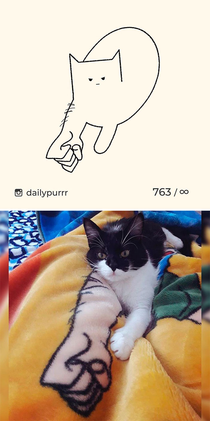 Stupid-Cat-Drawings-New-Dailypurrr
