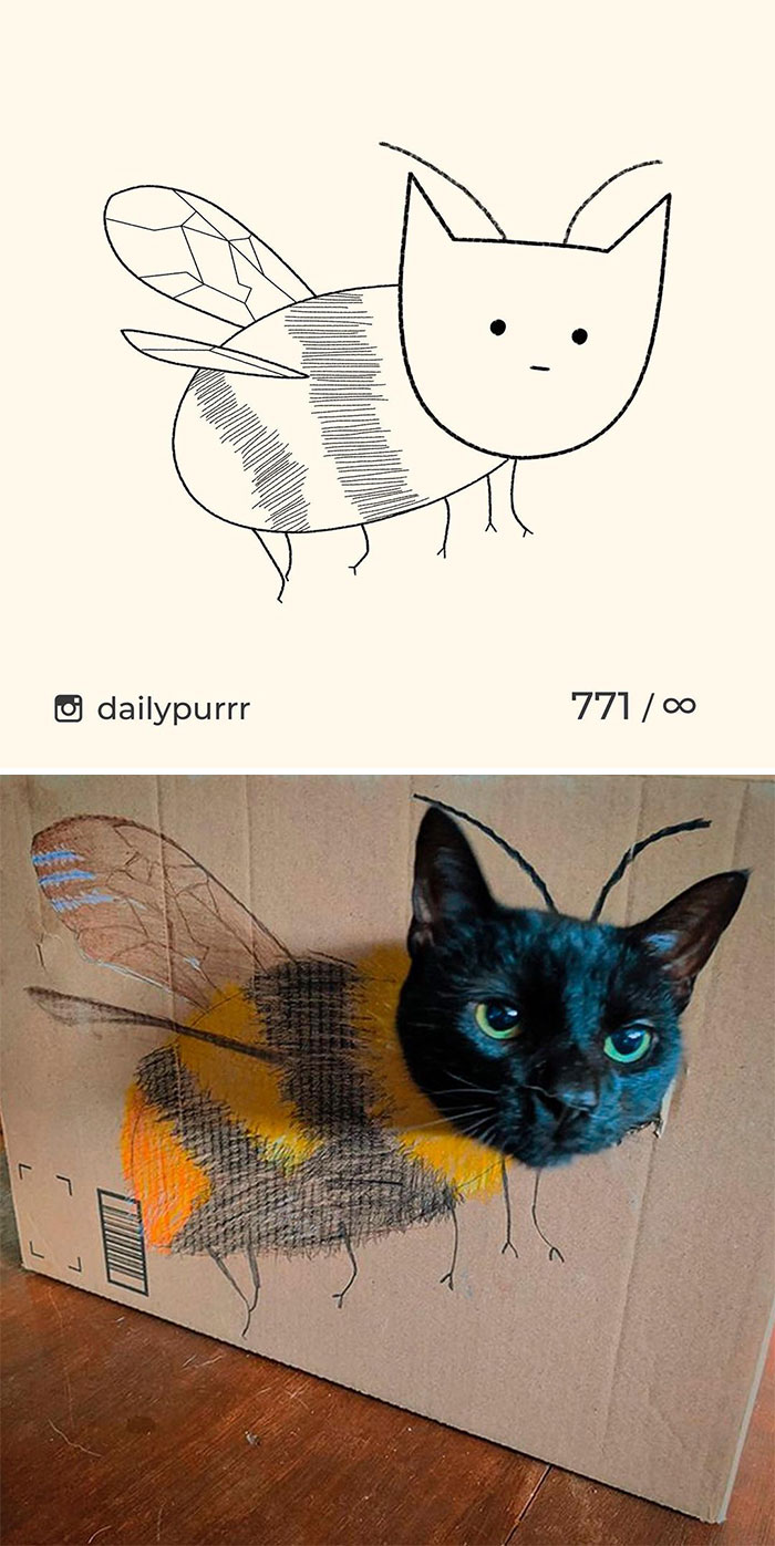 Stupid-Cat-Drawings-New-Dailypurrr