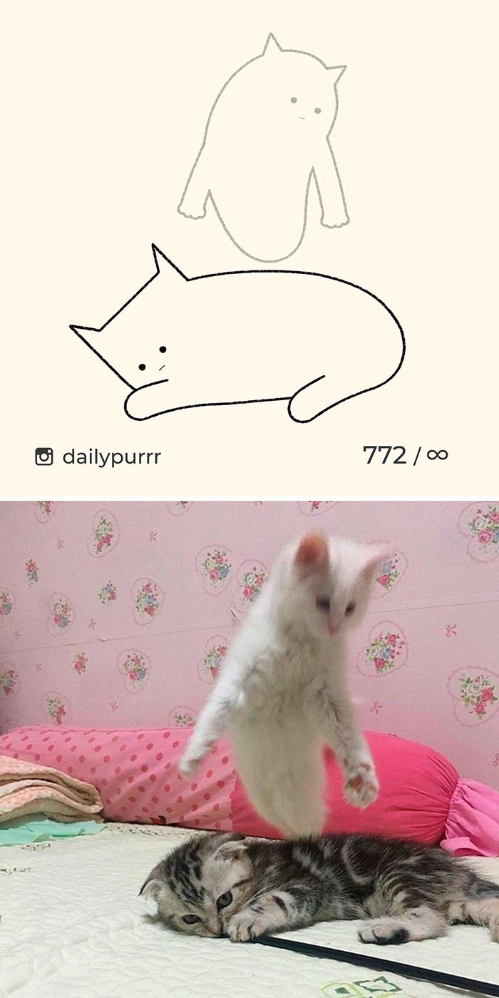 Stupid-Cat-Drawings-New-Dailypurrr