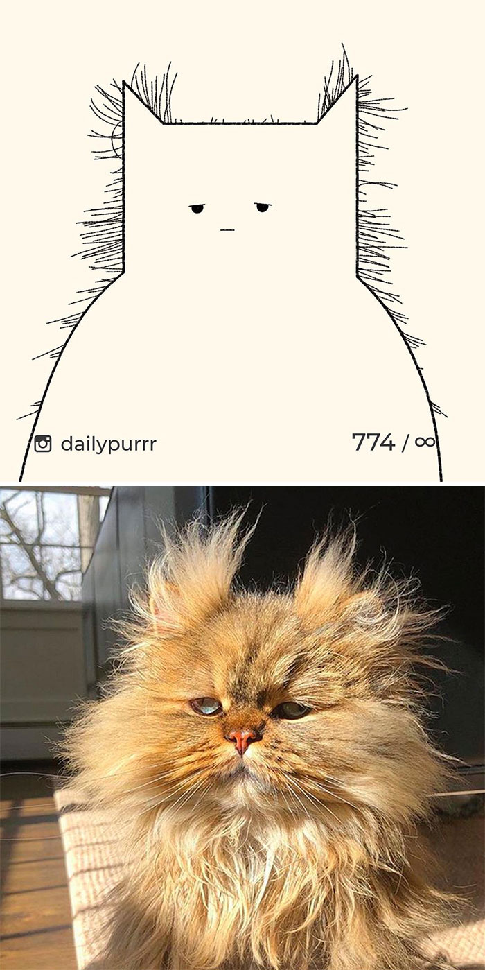 Stupid-Cat-Drawings-New-Dailypurrr