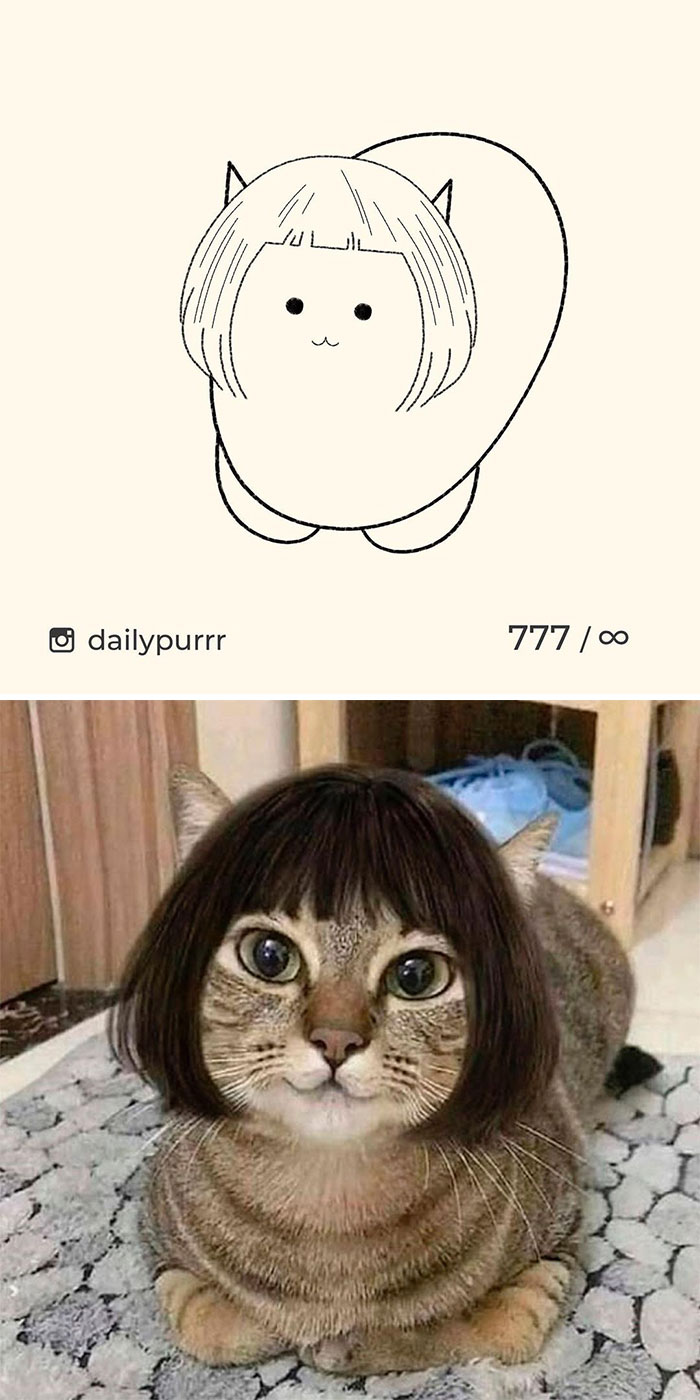 Stupid-Cat-Drawings-New-Dailypurrr
