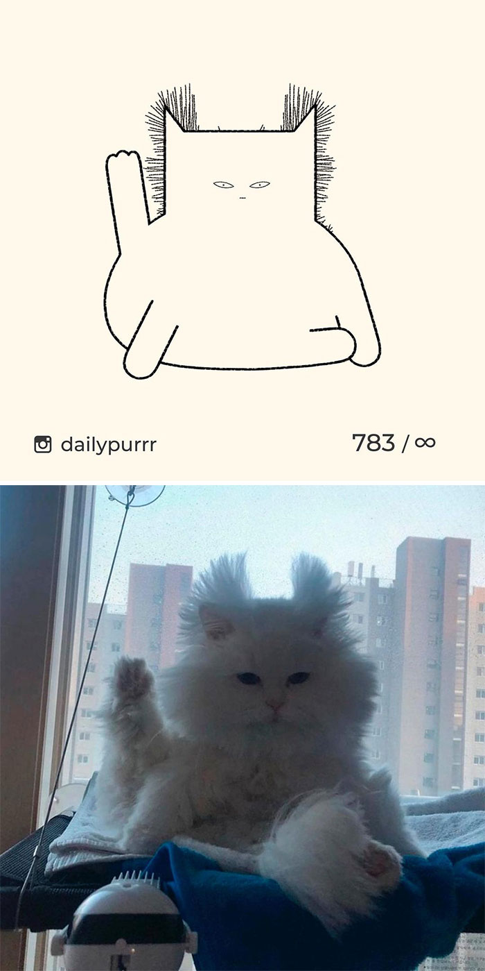 Stupid-Cat-Drawings-New-Dailypurrr