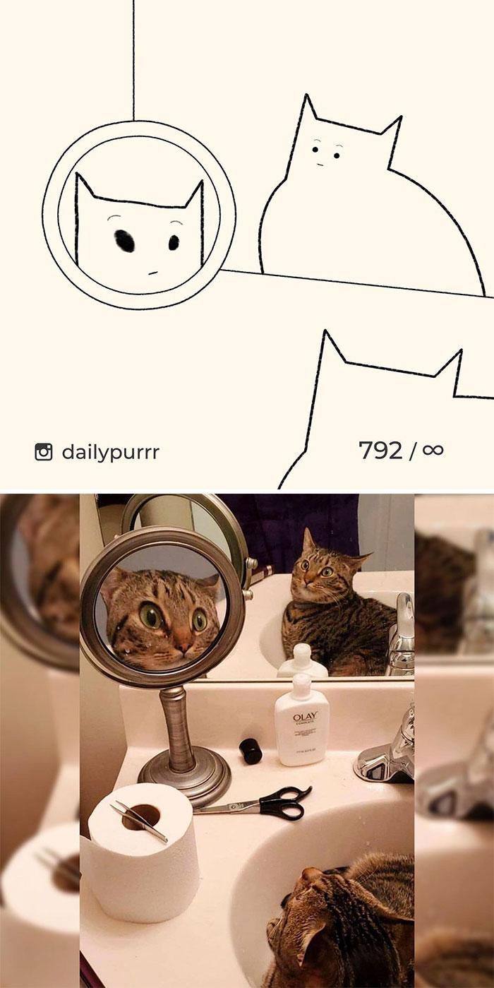 Stupid-Cat-Drawings-New-Dailypurrr