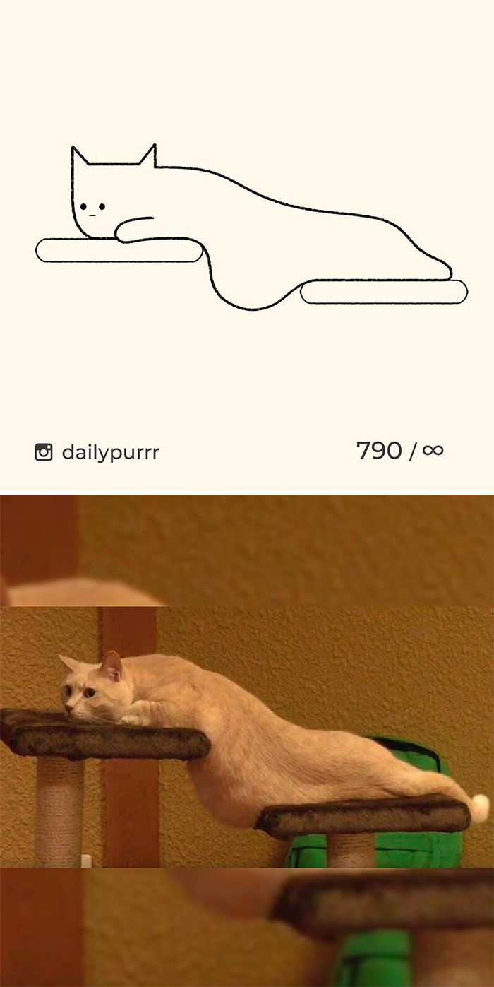 Stupid-Cat-Drawings-New-Dailypurrr