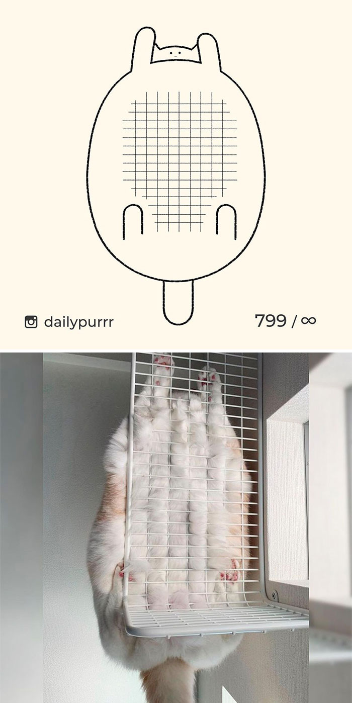 Stupid-Cat-Drawings-New-Dailypurrr