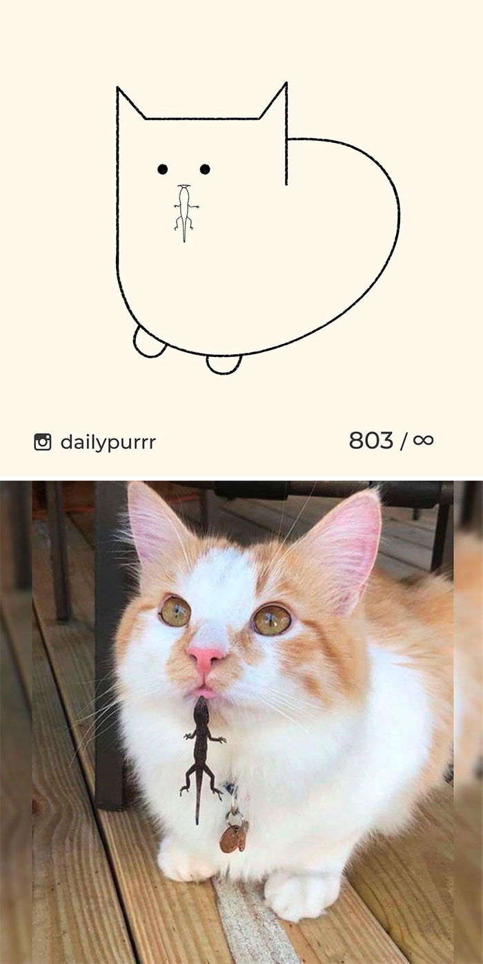 Stupid-Cat-Drawings-New-Dailypurrr