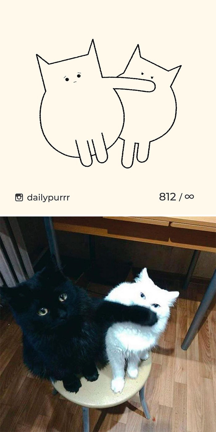 Stupid-Cat-Drawings-New-Dailypurrr