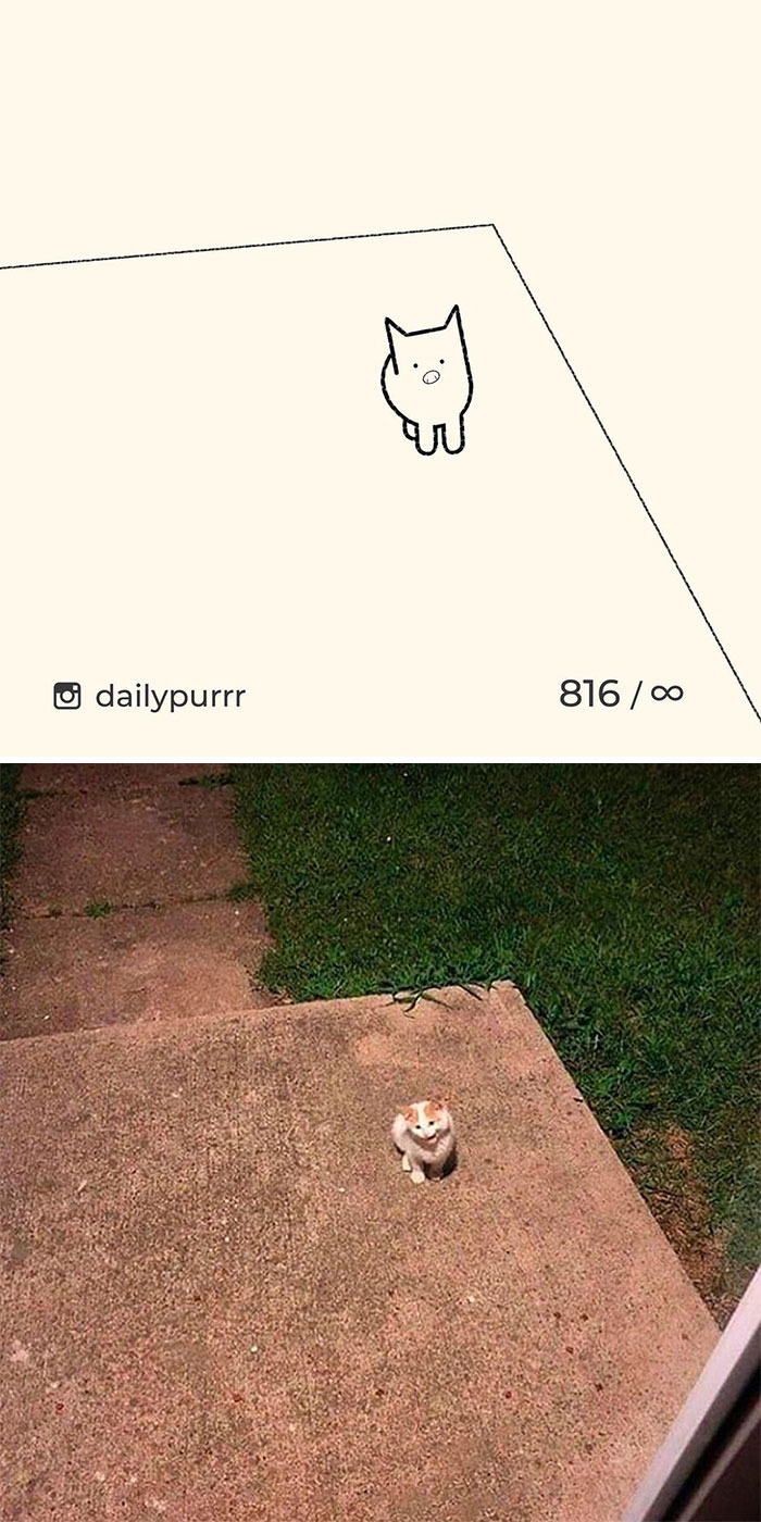 Stupid-Cat-Drawings-New-Dailypurrr