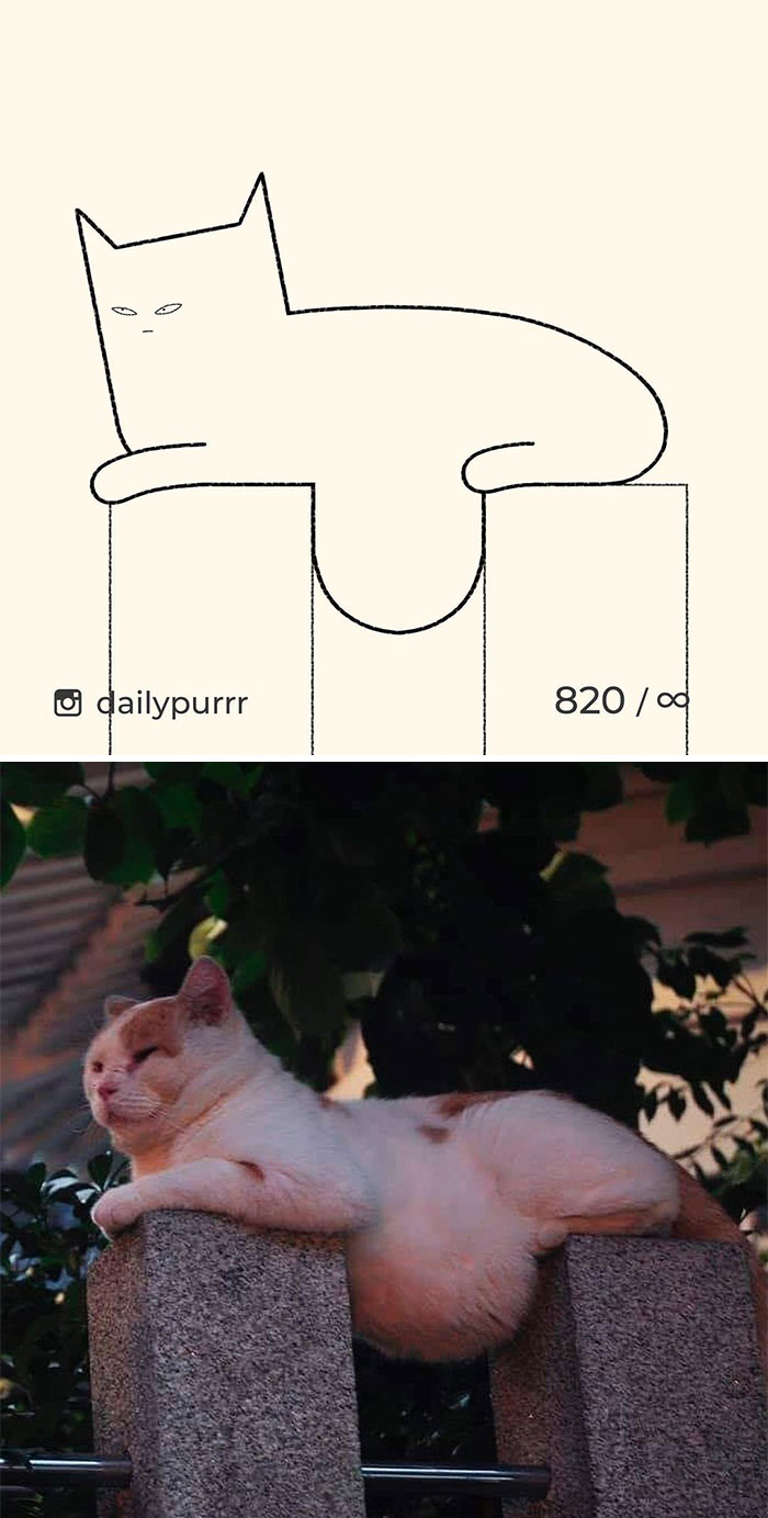 Stupid-Cat-Drawings-New-Dailypurrr