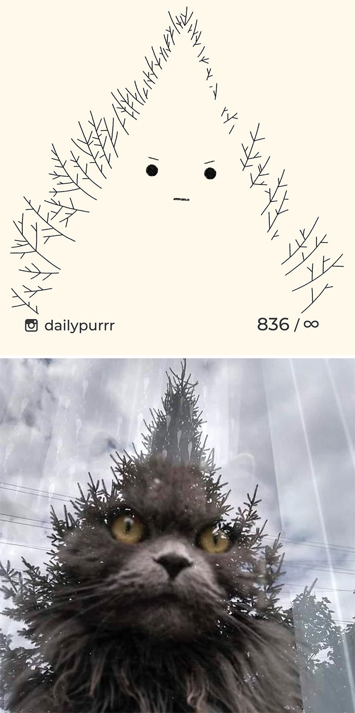 Stupid-Cat-Drawings-New-Dailypurrr