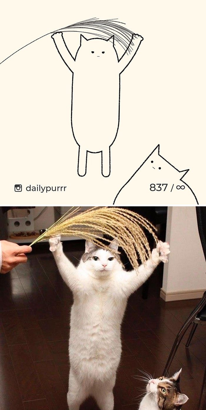Stupid-Cat-Drawings-New-Dailypurrr