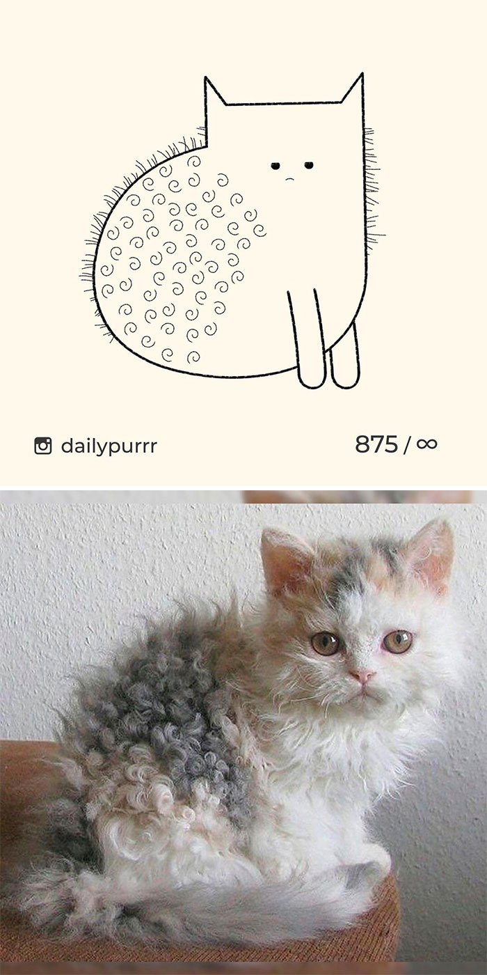 Stupid-Cat-Drawings-New-Dailypurrr