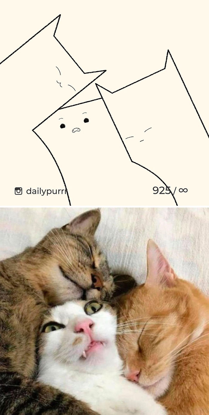 Stupid-Cat-Drawings-New-Dailypurrr
