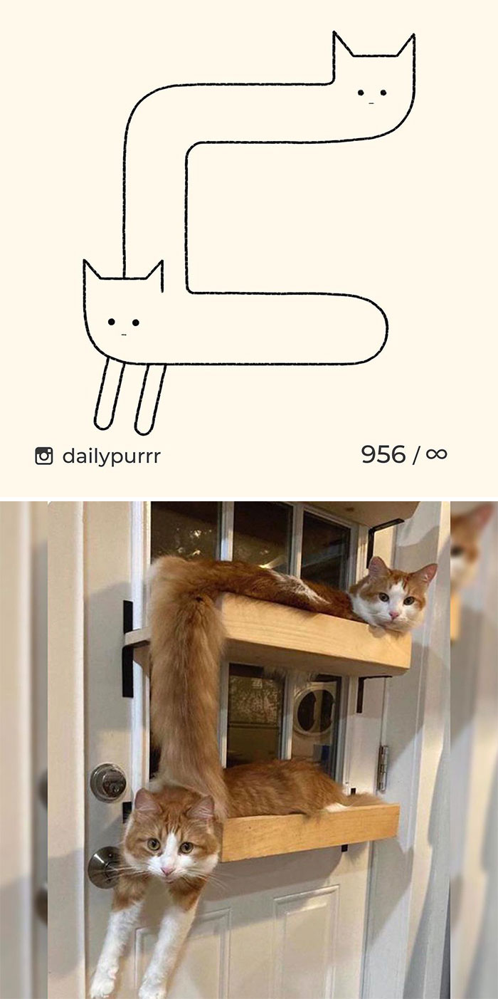 Stupid-Cat-Drawings-New-Dailypurrr