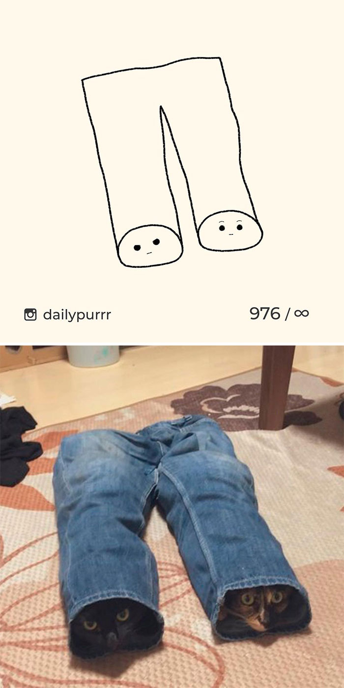 Stupid-Cat-Drawings-New-Dailypurrr