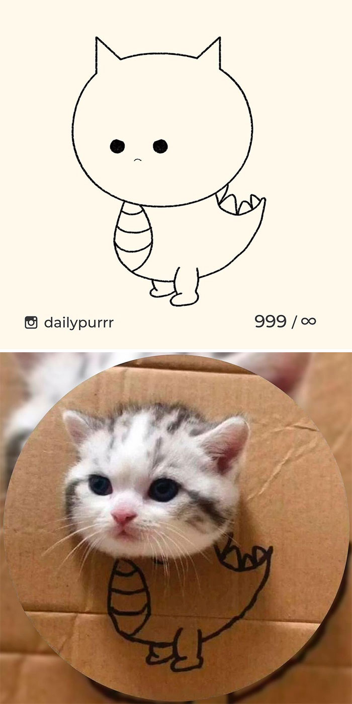 Stupid-Cat-Drawings-New-Dailypurrr