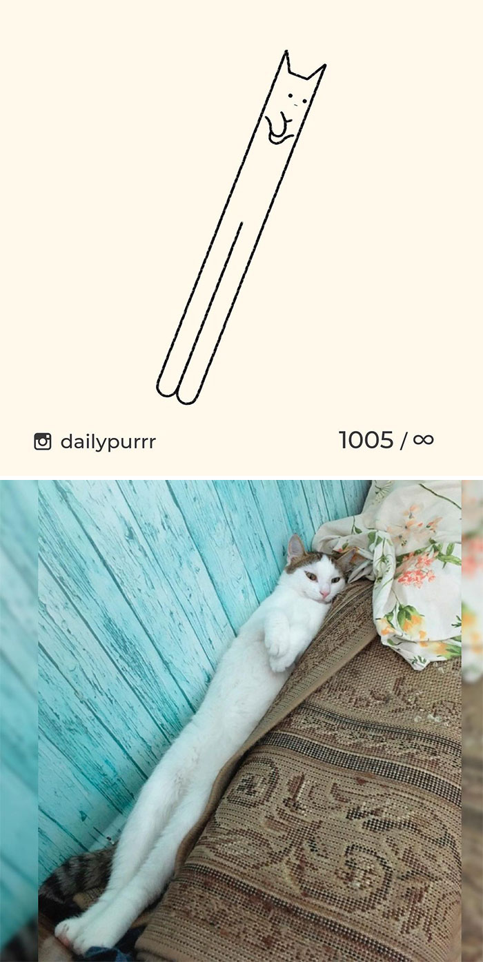 Stupid-Cat-Drawings-New-Dailypurrr