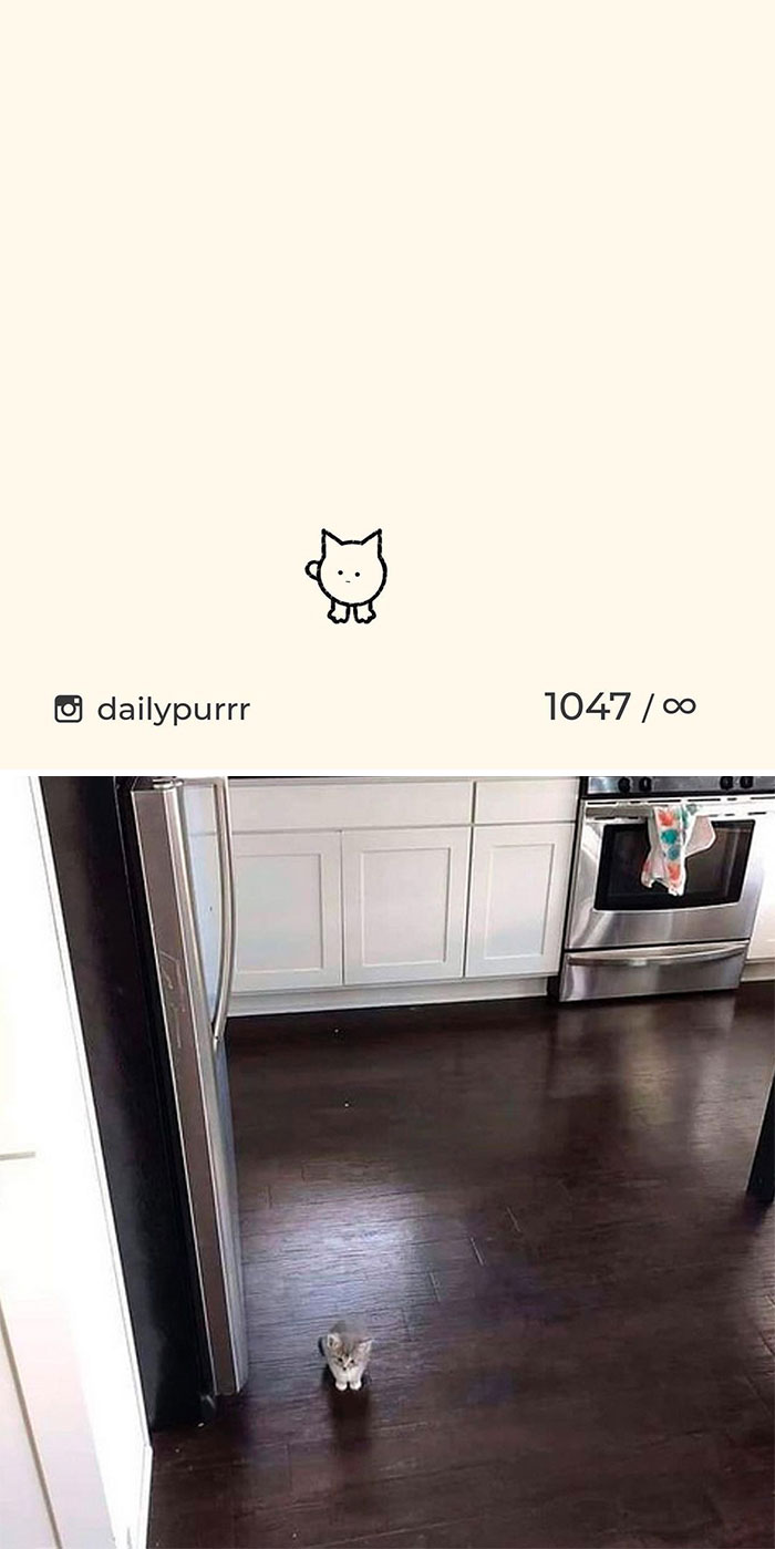 Stupid-Cat-Drawings-New-Dailypurrr