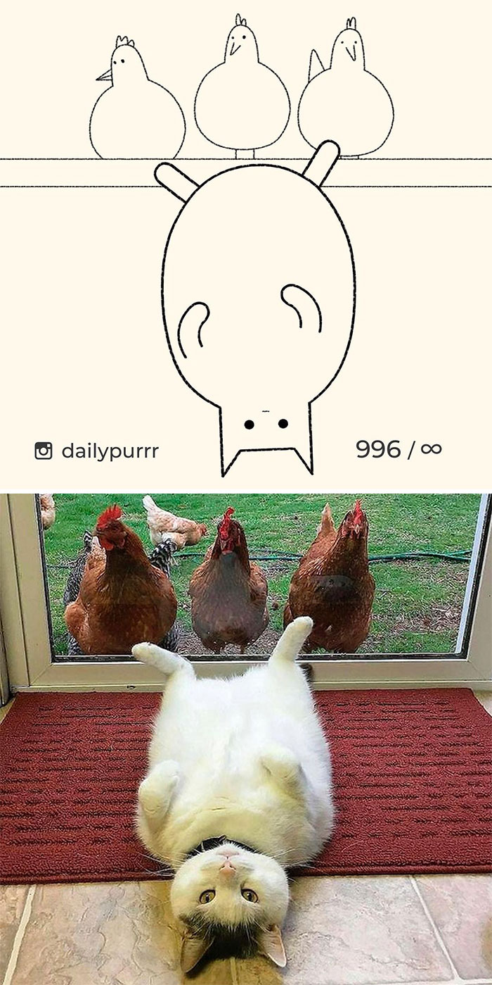 Stupid-Cat-Drawings-New-Dailypurrr