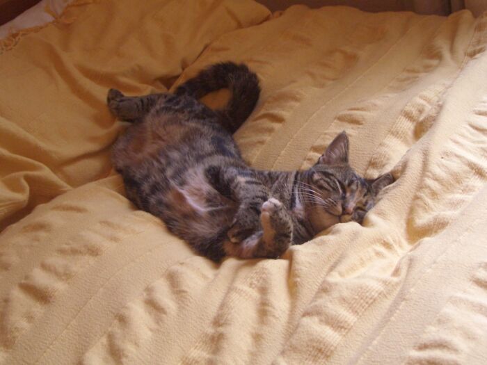 That Cannot Be Comfortable...