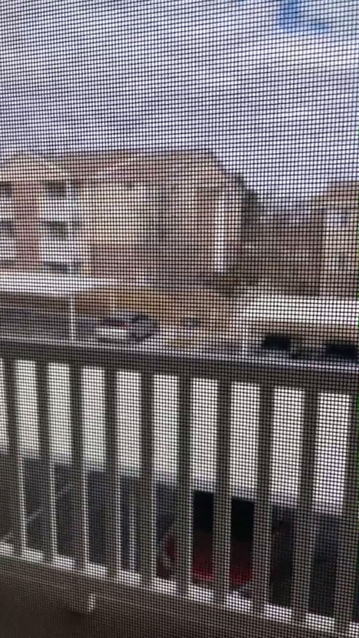 Alright This Is Gonna Be Hard To Believe. When I Was About 21, I Went Into Pre-Term Labor (At Five And A Half Months) And Had A Stillborn