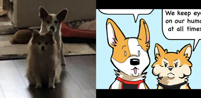 Taz And Thor. Both Rescues From Abused Backgrounds, Now Starring In A Comic I Just Started.