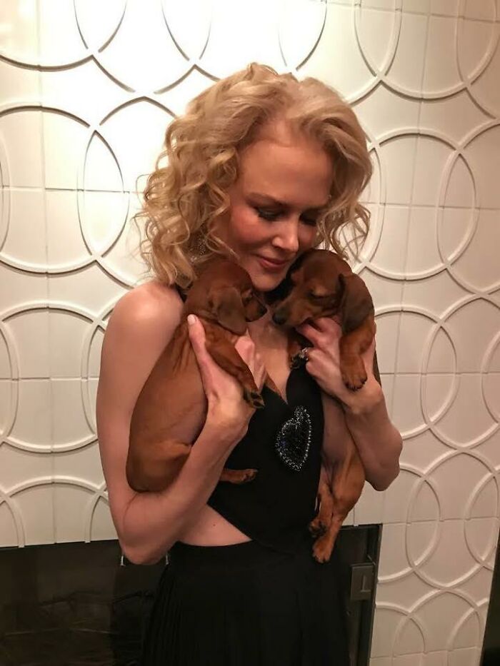 Celebrity holding two small brown dogs close, showing immense love for dogs in a warm indoor setting.